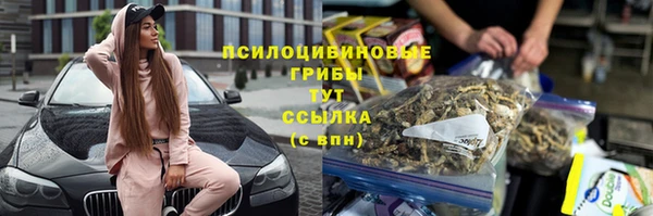 spice Рославль