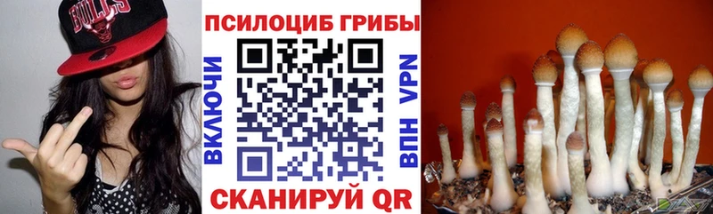 Псилоцибиновые грибы GOLDEN TEACHER Сланцы