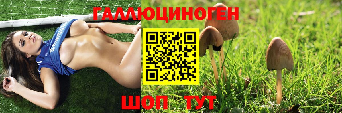 Галлюциногенные грибы Psilocybe  Вход с VPN  Сланцы 