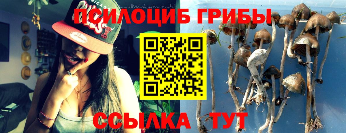 Псилоцибиновые грибы Magic Shrooms Сланцы